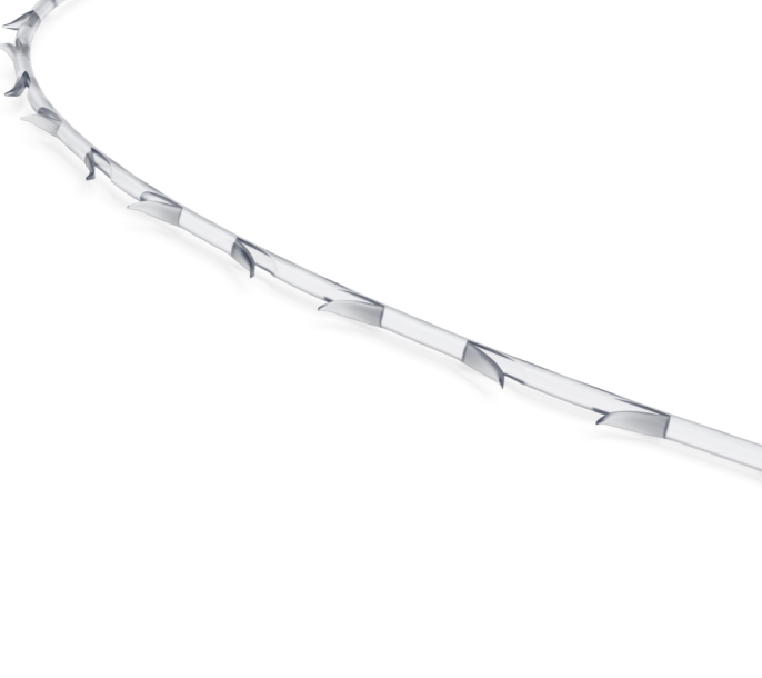 Excellence Visage Soft (EVS-100)